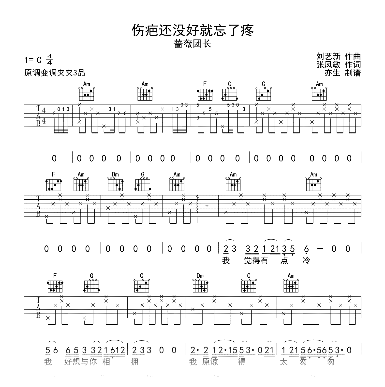 伤疤还没好就忘了疼吉他谱_蔷薇团长_C调弹唱六线谱