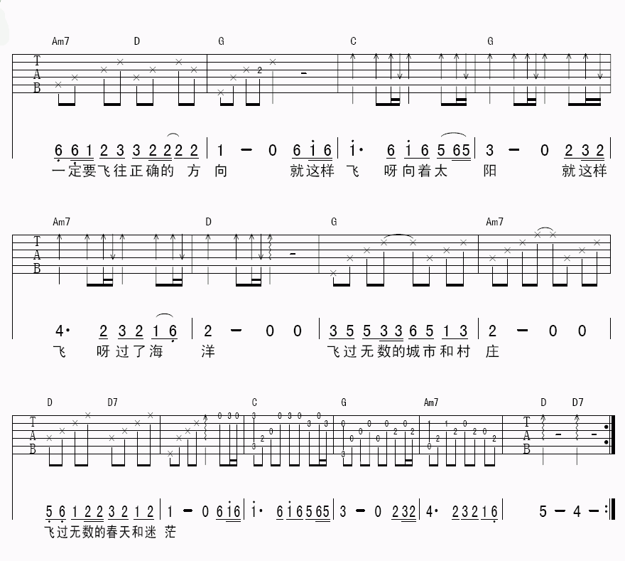 洪启_我是一只离群的鸟吉他谱