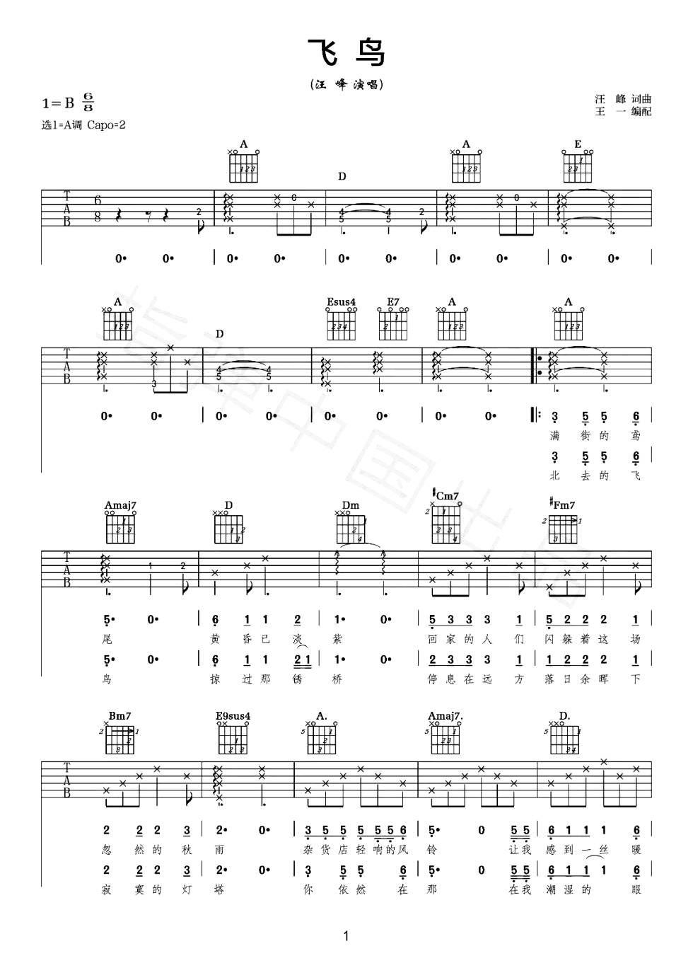 飞鸟吉他谱_A调指法_汪峰_飞鸟_弹唱六线谱