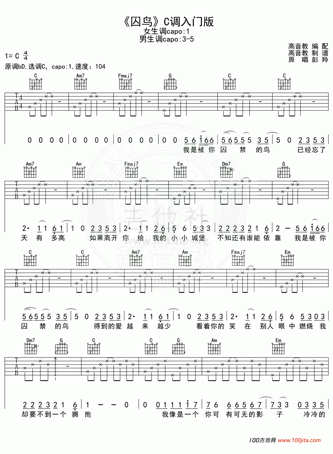 囚鸟吉他谱_C调_彭羚_吉他弹唱谱六线谱