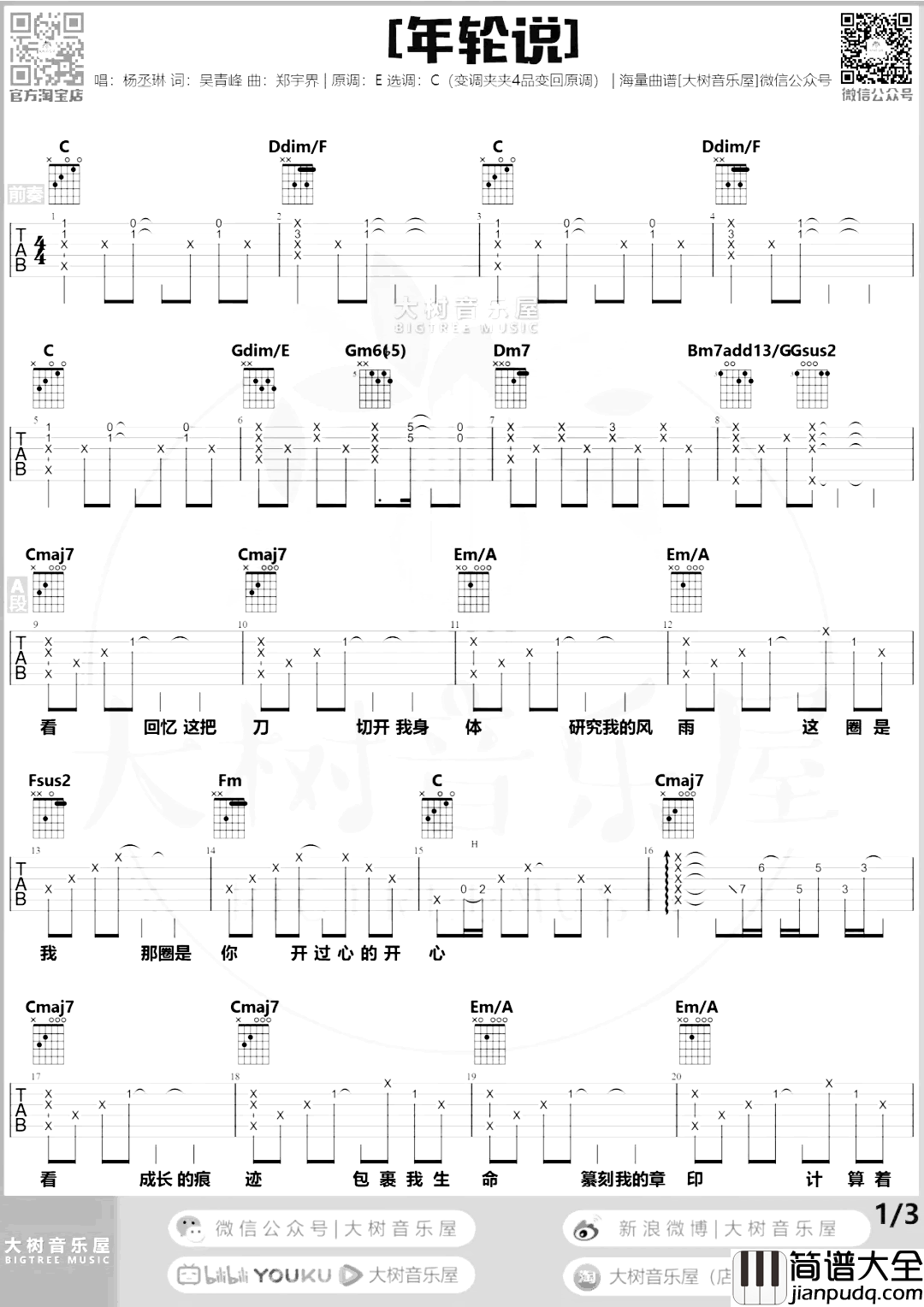 年轮说吉他谱_C调杨丞琳_弹唱教学视频