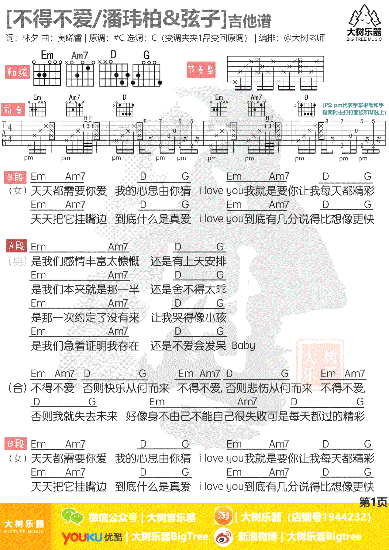 不得不爱吉他谱_潘玮柏&弦子_C调和弦_吉他教学视频