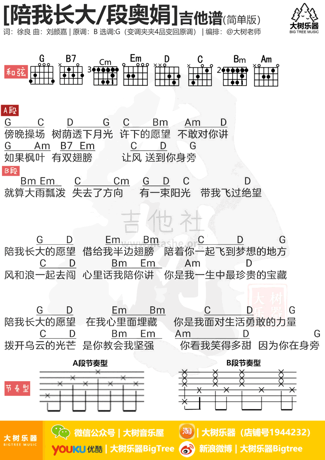 陪我长大吉他谱_段奥娟_快把我哥带走_电影主题曲