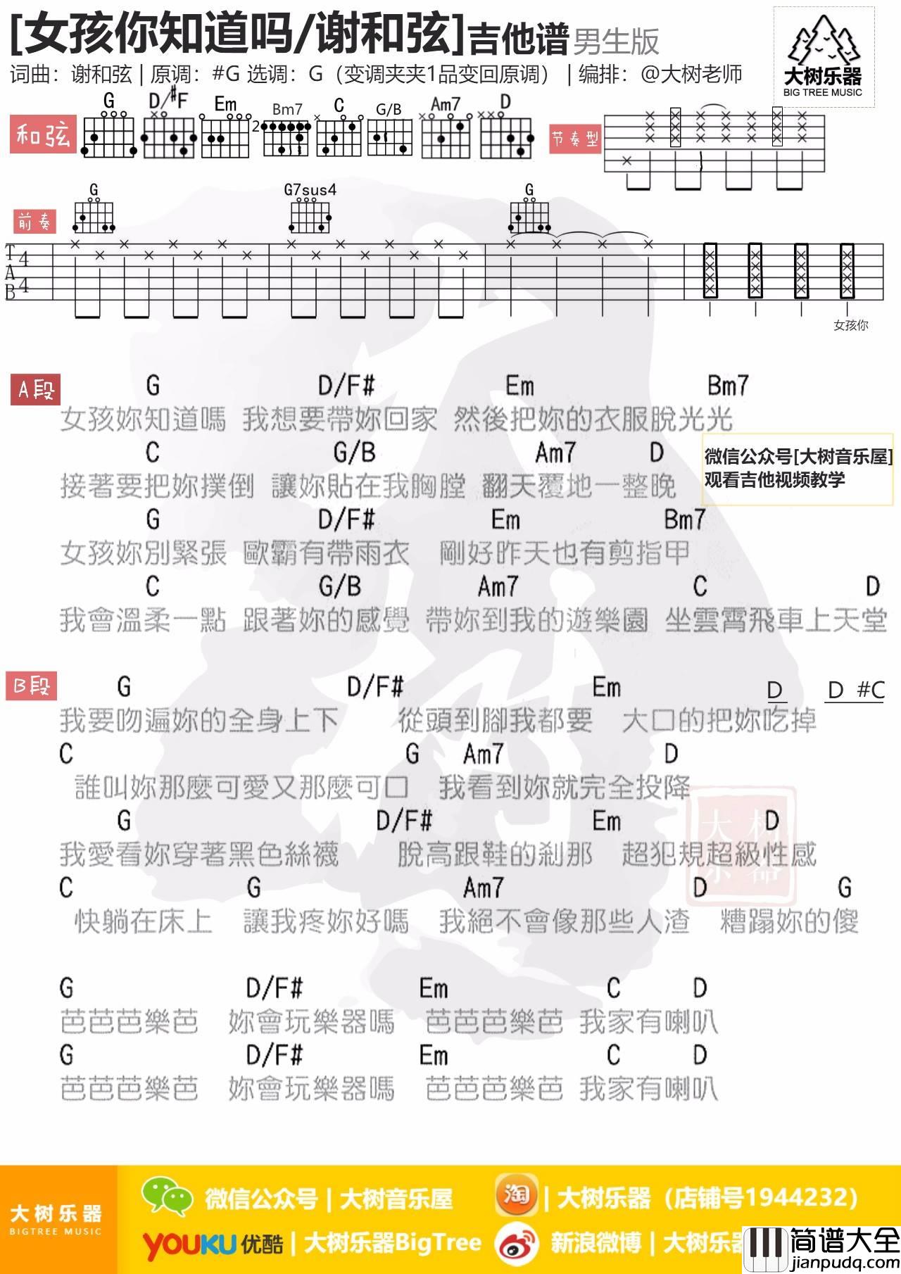 女孩你知道吗吉他谱_G调_大树音乐屋编配_谢和弦