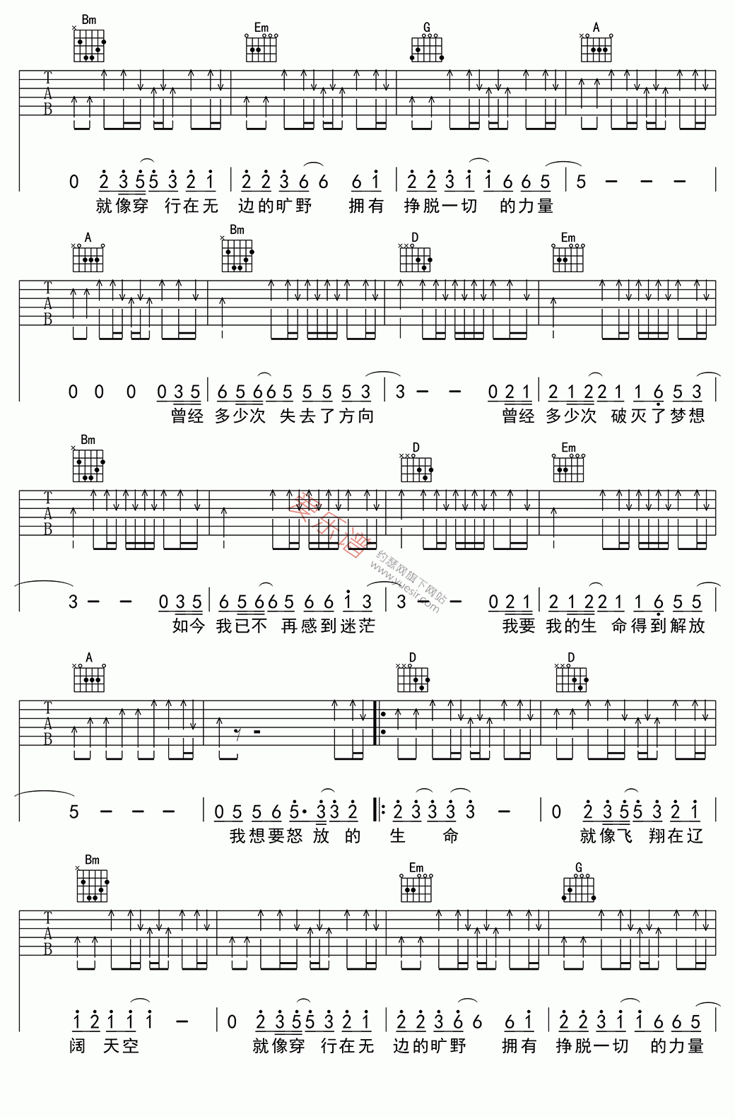 怒放的生命吉他谱_D调简单版_汪峰