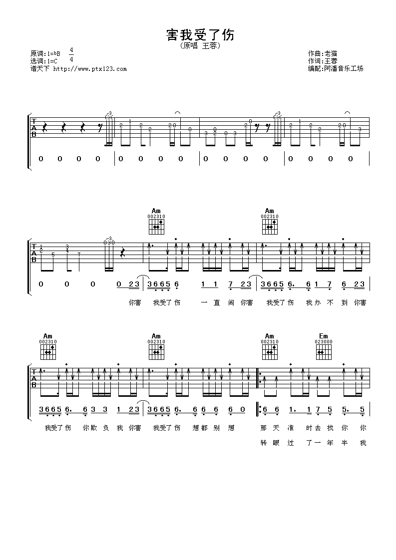 害我受伤了吉他谱_C调简单版_阿潘音乐工场编配_王蓉