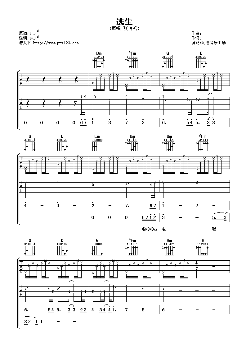 逃生吉他谱_D调_阿潘音乐工场编配_张信哲