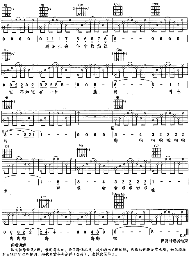 风花树吉他谱_G调六线谱_简单版_水木年华
