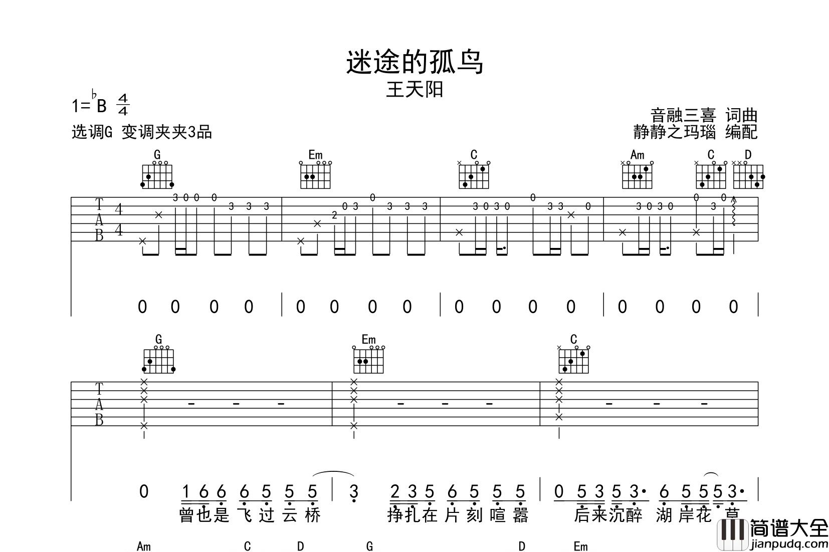 迷途的孤鸟吉他谱_王天阳_G调原版六线谱