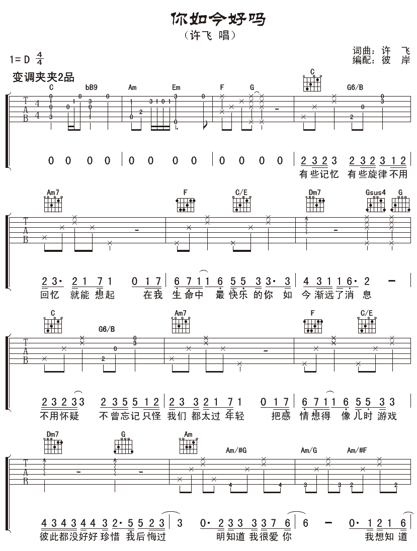 你如今好吗吉他谱_D调女生版_彼岸吉他编配_许飞