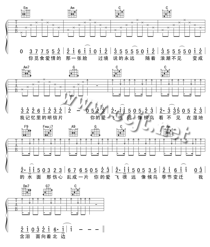 _候鸟_吉他谱