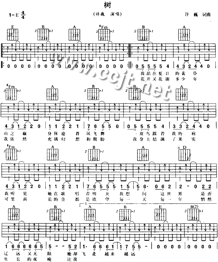 树|吉他谱|图片谱|高清|许巍