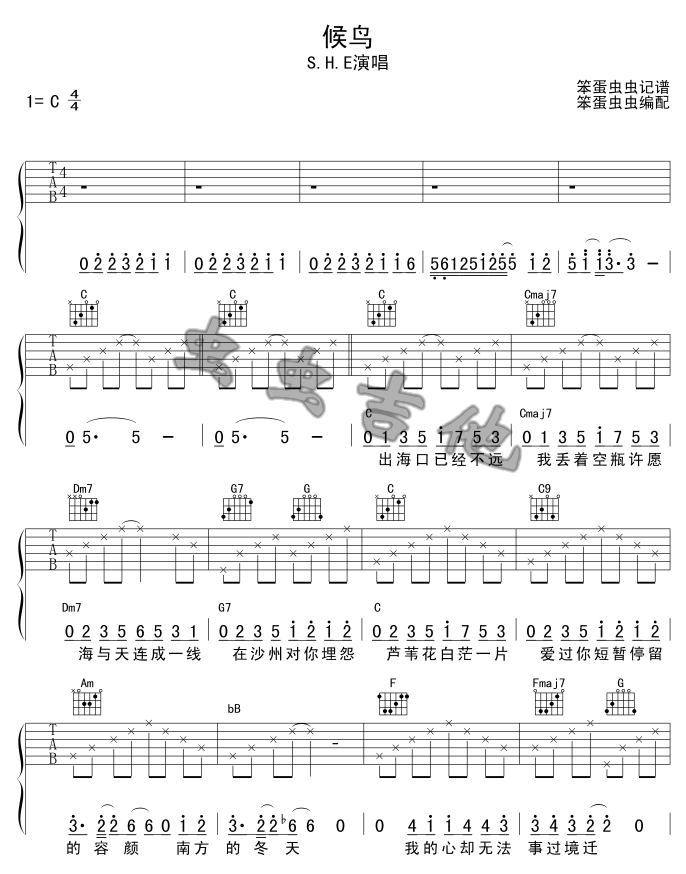 _候鸟_吉他谱