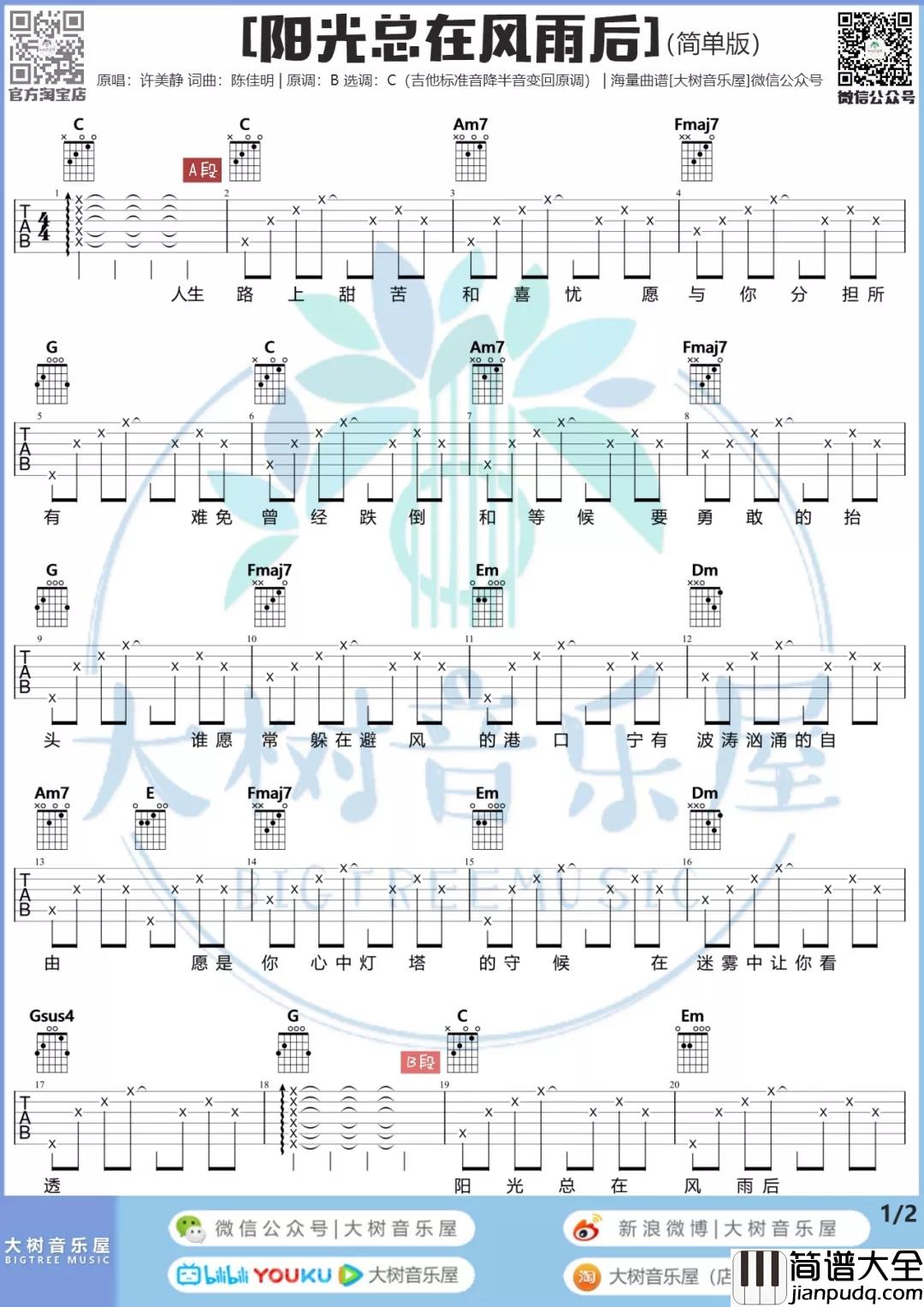 阳光总在风雨后吉他谱_许美静_C调简单版吉他弹唱谱