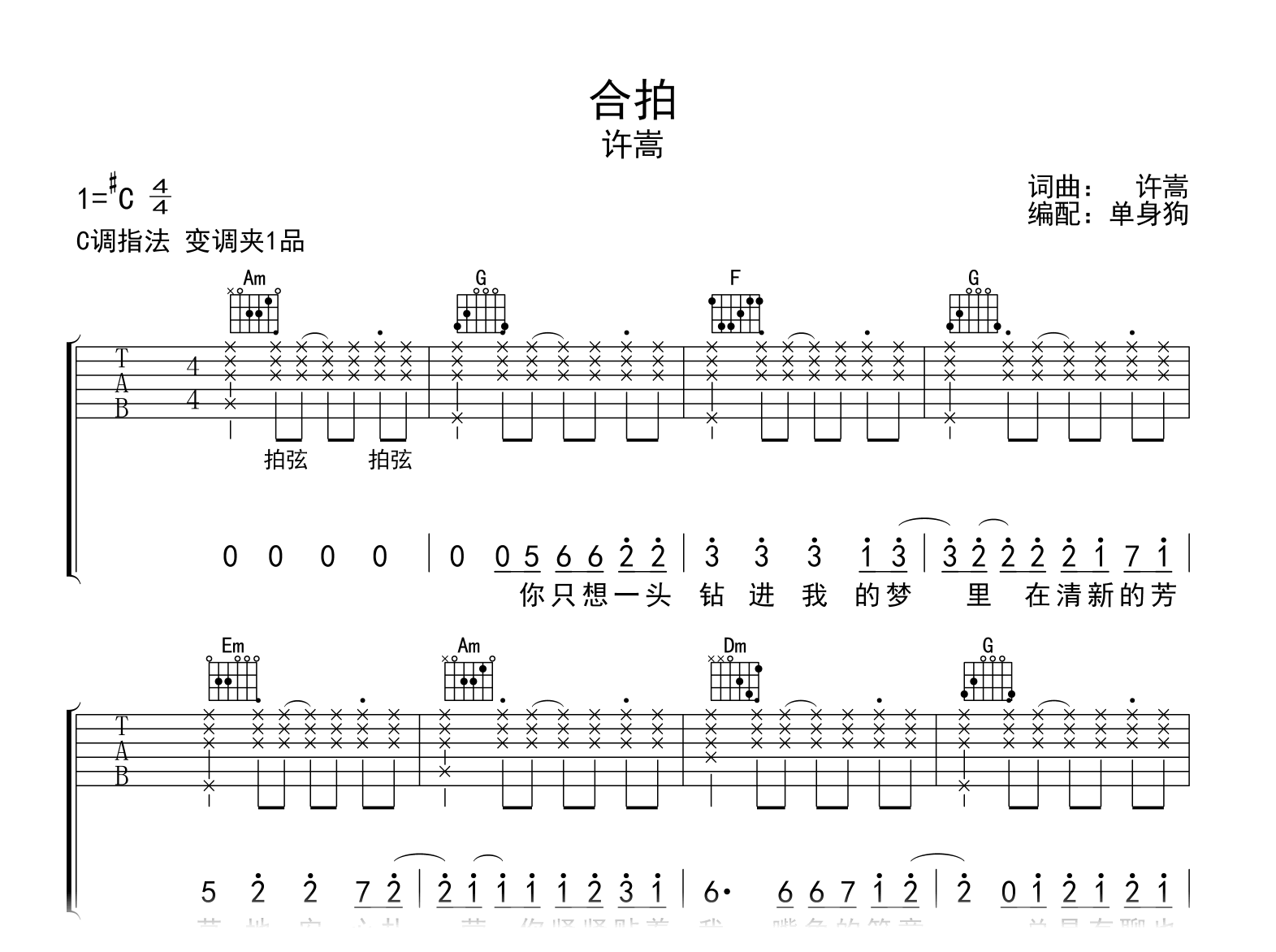 合拍吉他谱_许嵩_C调弹唱谱_完整高清六线谱