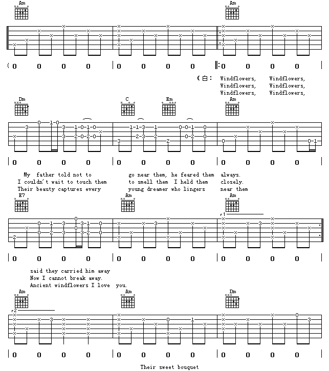 Wind_Flower|吉他谱|图片谱|高清|齐秦